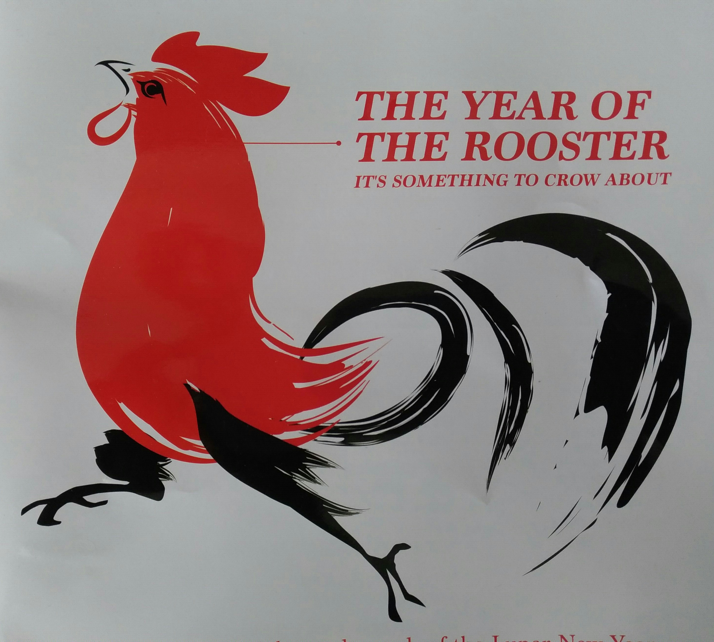 P_20170127_140354_vHDR_Auto_1