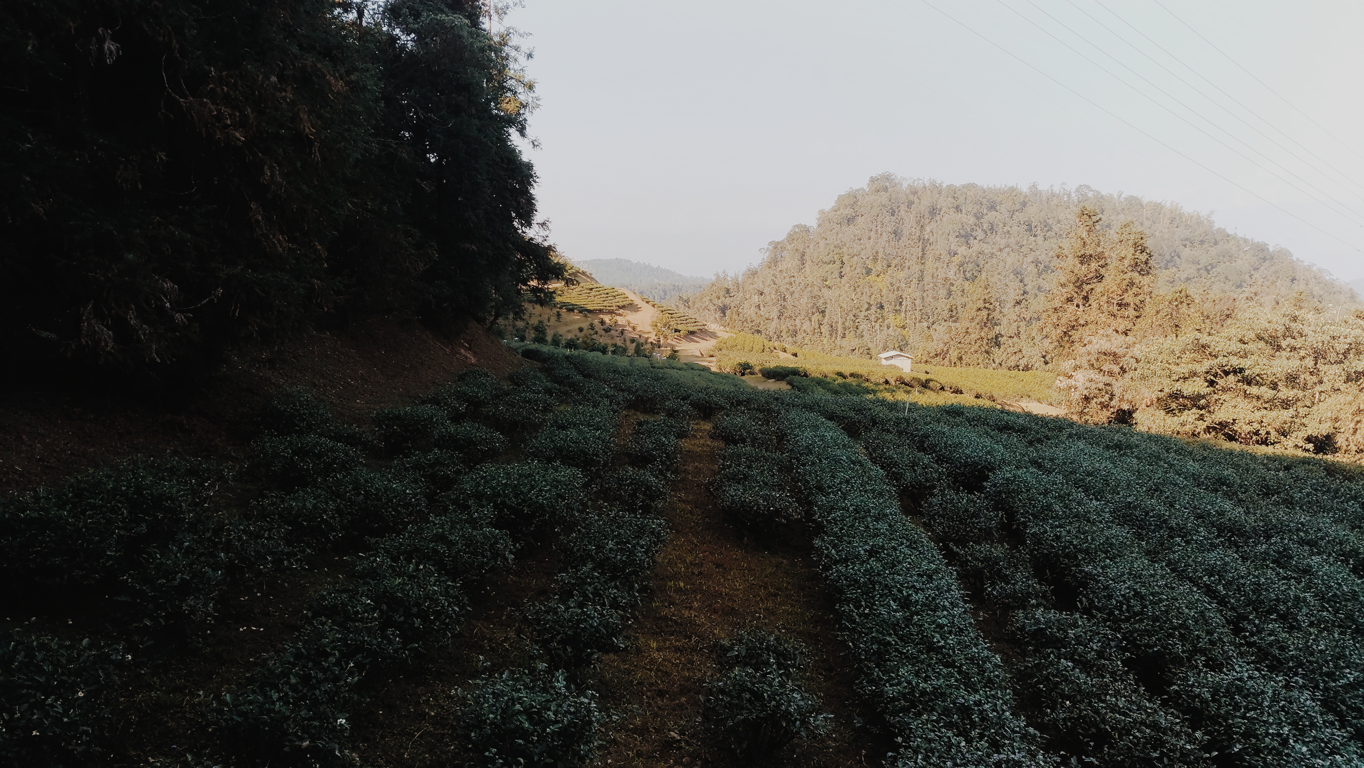 Processed with VSCO with m5 preset