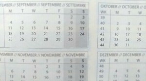 P_20171119_125436_MT