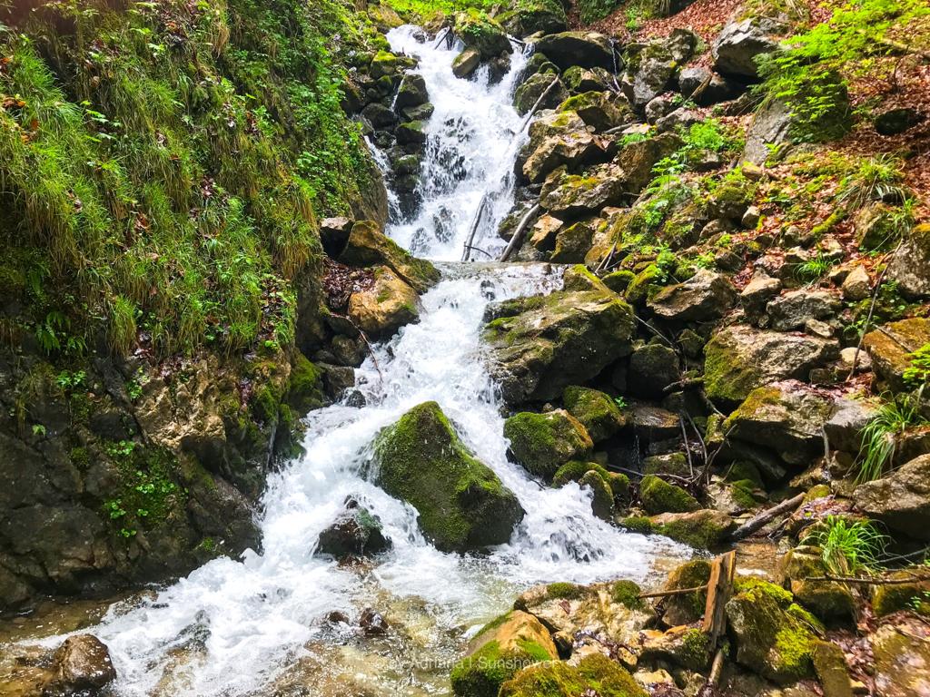 A Streamline Monologue